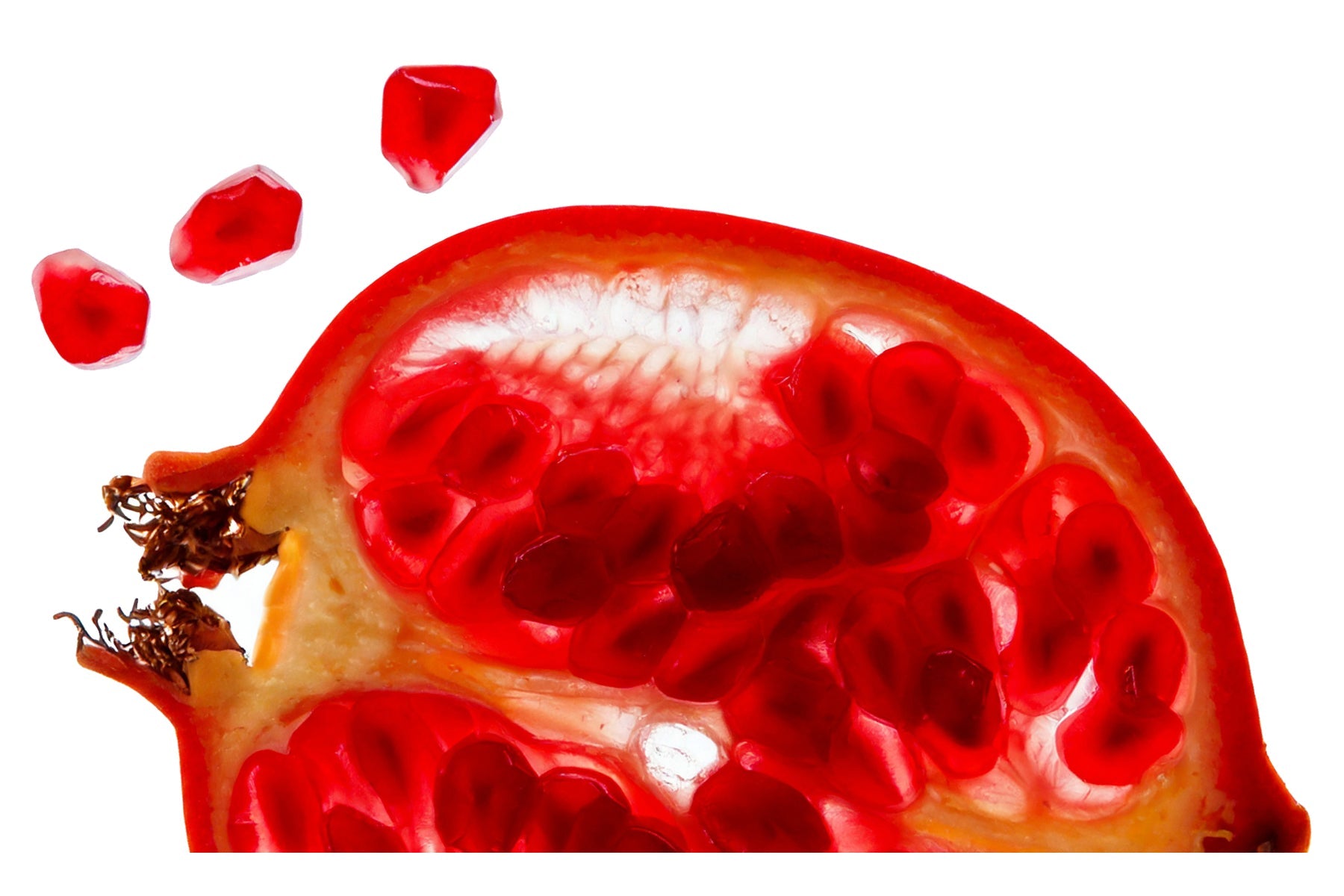 Promato The Science Behind Promato®: Lycopene, Ellagic Acid & Zinc Picolinate ...