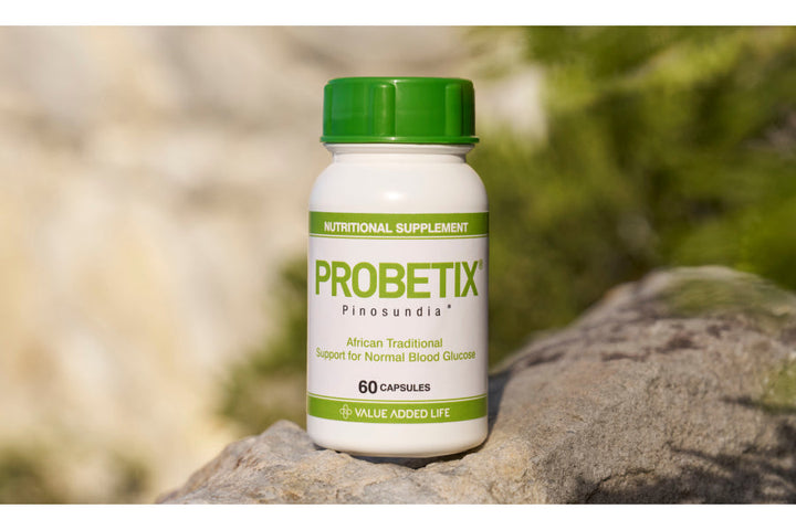 Blood Sugar & Daily Energy: Finding Balance Naturally