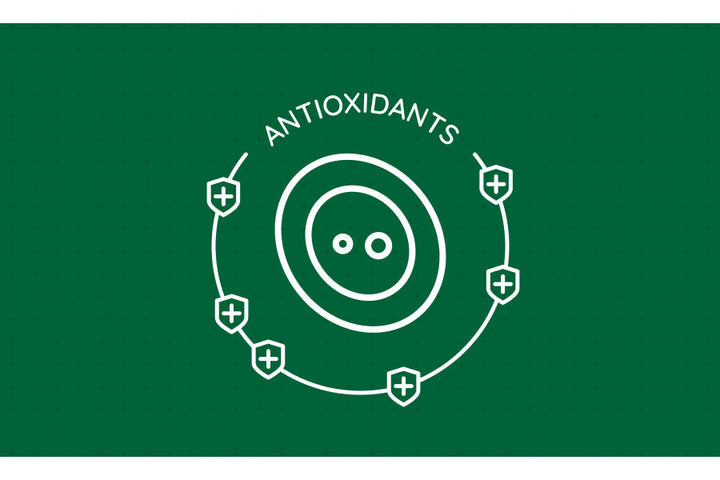 Understanding Cell Health & Antioxidants: Everyday Ways to Support Your Body