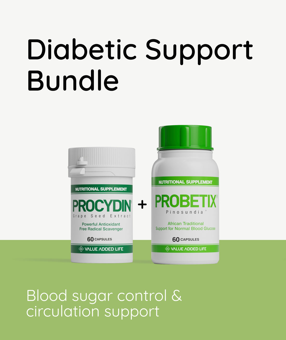 Diabetic Support Bundle – Value Added Life