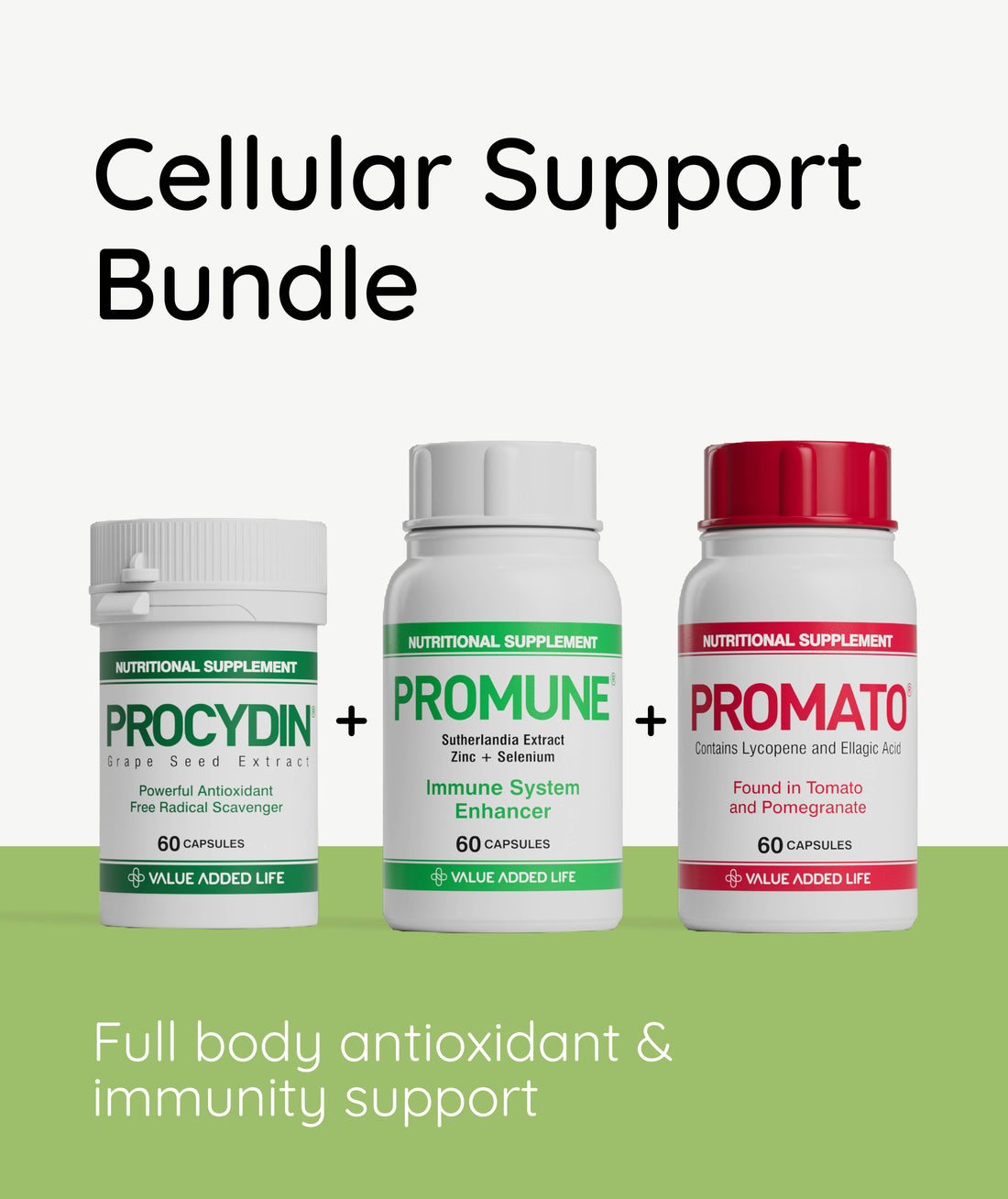 Cellular Support Bundle
