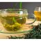 A Journey Through the History of Green Tea Extract